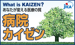 What is KAIZEN?