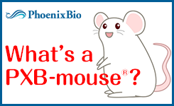 PXB-mouse